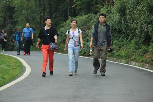 刑司nba在线看
工会组织教职工春游活动